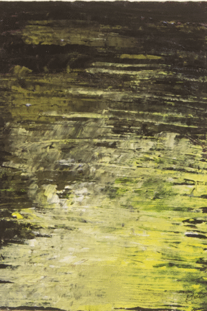 Experiment IV
