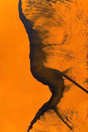 Abstraction XVI